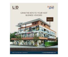 Vecto Graphics  Graphic Designer in Gurgaon | Logo Designer in Gurgaon