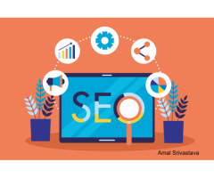 Amal Srivastava - Best Digital Marketing Expert in Gurgaon
