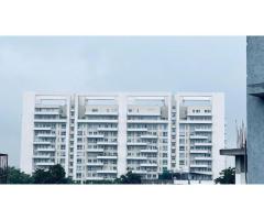 Varun Bansal Digital Consultant