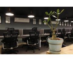 GrowthPixel - #1 Healthcare Digital Marketing Agency in Gurgaon | Healthcare SEO Agency