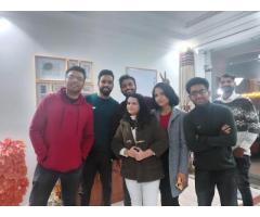 Purple Brick Consulting | Digital Marketing Agency