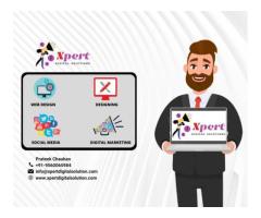 Xpert Digital Solution