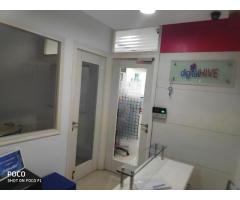 Digital HIVE - Website Design and SEO Company in Gurgaon