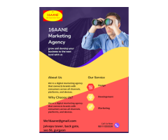 16AANE CONSULTING SERVICES
