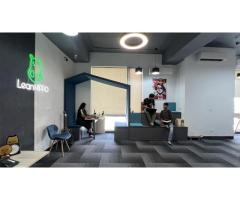 Lean Hippo Marketers