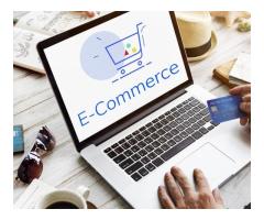 Wishful Digital Solutions - Result Oriented Performance Marketing Company