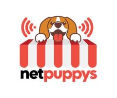 NetPuppys