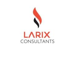 Larix Consultants Pvt Ltd