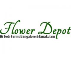 Flower Depot
